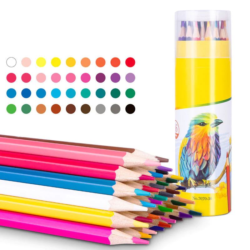 Set de Lápices de Colores