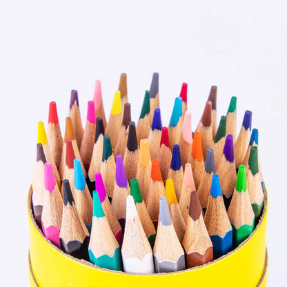 Set de Lápices de Colores
