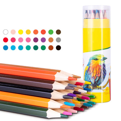Set de Lápices de Colores